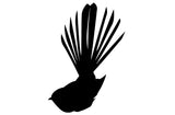 Fantail Cricket